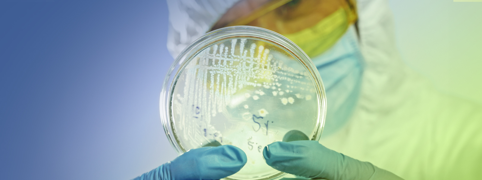 to Envirochem Analytical Laboratories